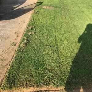 Meet your Posher, Demichael